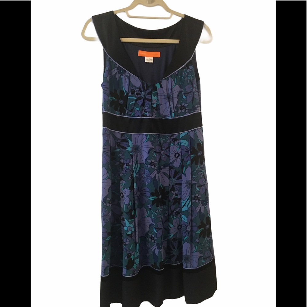 Cynthia Steffe Sleeveless 100% Silk Dress